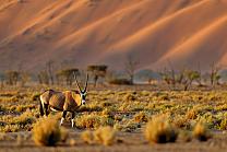 Colors of Namibia