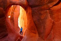 Coaching & Tours