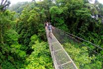 Costa Rica Pure Nature