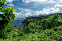 Ile Dominique (Caraïbes)