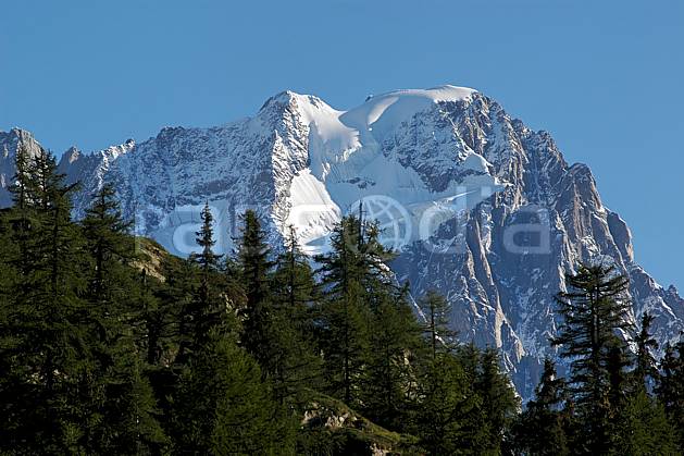aa042125LE : Depuis le Col Checrouit, Grandes Jorasses, Alpes. Europe, CEE, C02, C01, sapin, falaise arbre, moyenne montagne, paysage (Italie).