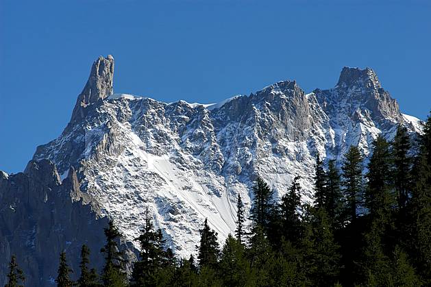 aa042127LE royalty free depuis le col checrouit, dent du géant, aiguille de rochefort, alpes, Europe, EEC, cliff, fir tree, tree, middle mountain, landscape (Italy).