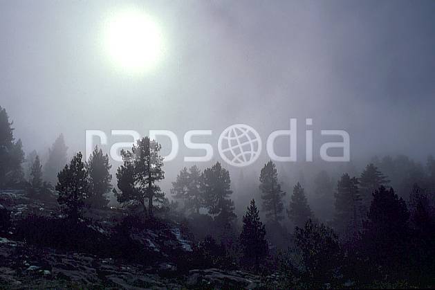 aa0478-07GE forêt dans la brume, haute-savoie, Europe, EEC, fog, blue sky, fir tree, tree, forest, middle mountain, landscape, sun, Annecy 2018 (France).