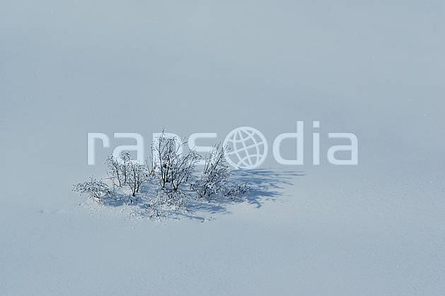 aa050027LE : Buisson dans la neige. Europe, CEE, C02, C01, poudreuse, pureté arbre, moyenne montagne, paysage (France).