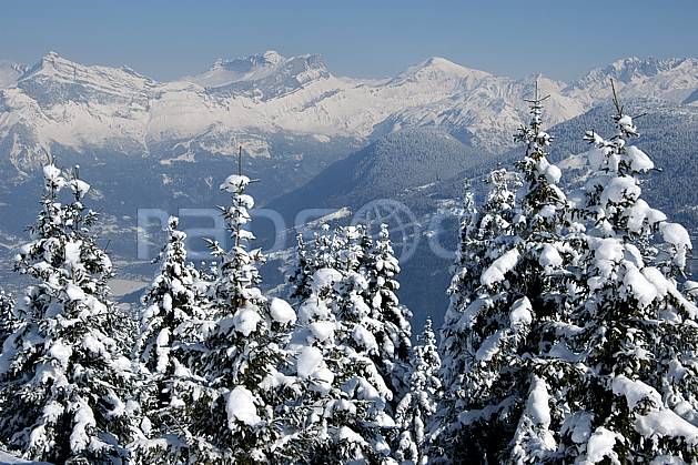 aa050896LE : Haut Giffres depuis Saint Nicolas de Véroce, Haute-Savoie, Alpes. Europe, CEE, sapin, enneigé, vallée, C02, C01 arbre, forêt, moyenne montagne, paysage, Annecy 2018 (France).
