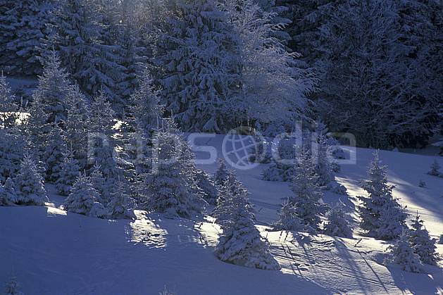 aa0513-19LE : Le Semnoz, Haute-Savoie, Alpes. Europe, CEE, sapin, C02, C01 arbre, forêt, moyenne montagne, paysage, Annecy 2018 (France).