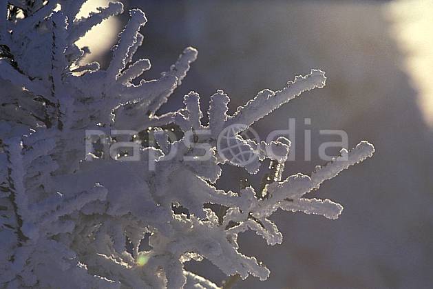aa0513-33LE : Branche de sapin enneigée, Le Semnoz, Haute-Savoie, Alpes. Europe, CEE, C02, C01, branche, sapin, enneigé arbre, gros plan, moyenne montagne, Annecy 2018 (France).