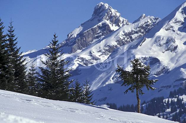 aa0541-06LE : Pointe Percée, Aravis, Haute-Savoie, Alpes. Europe, CEE, ciel bleu, sapin, C02, C01 arbre, moyenne montagne, paysage, Annecy 2018 (France).