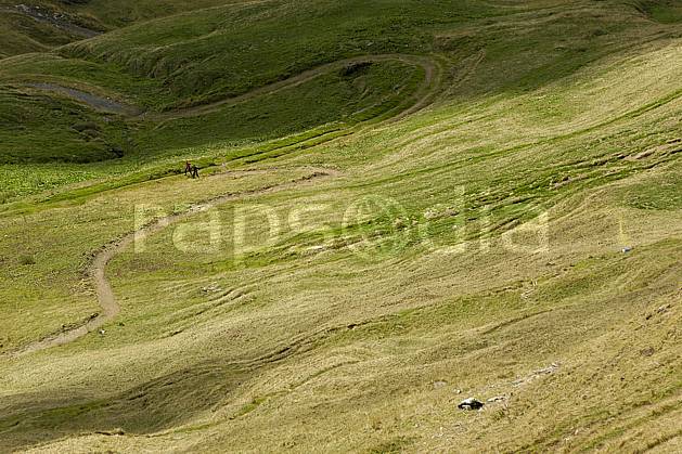 aa055691LE : Morzine, Avoriaz, sous la Pointe de Fornet, Haute-Savoie, Alpes. hiking Europe, EEC, sport, leisure, action, mountain sport, mountain pasture, footpath, grass middle mountain, landscape, people, Annecy 2018 (France).