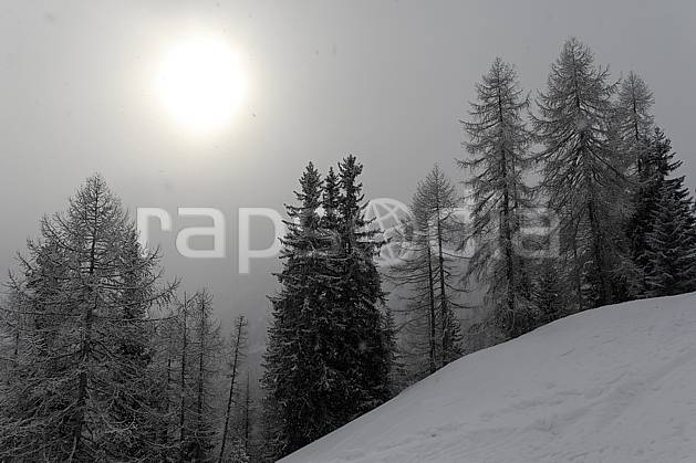 aa060741LE : Jour blanc en montagne, Alpes. Europe, CEE, brouillard, C02, C01, mauvais temps arbre, forêt, moyenne montagne, nuage, paysage, soleil (France).