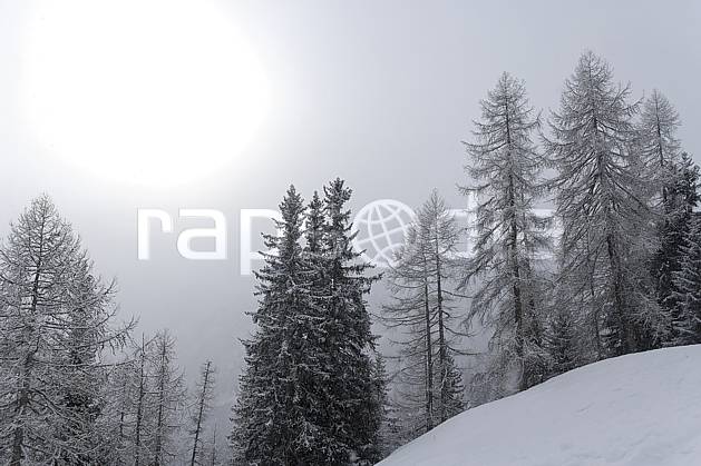 aa060742LE : Jour blanc en montagne, Alpes. Europe, CEE, brouillard, C02, C01, mauvais temps arbre, forêt, moyenne montagne, nuage, paysage, soleil (France).