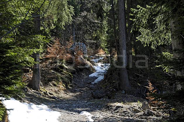 aa061075LE : Plateau de Plaine Joux, Haute-Savoie, Alpes. Europe, CEE, sentier, sentier, sapin, épicéa, C02, C01 arbre, forêt, moyenne montagne, paysage, Annecy 2018 (France).