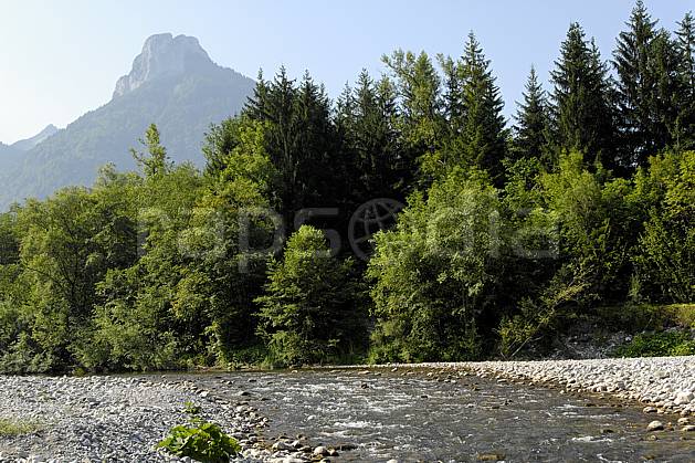 aa062950LE : Bords du Fier et Dents de Lanfon, Haute-Savoie, Alpes. Europe, CEE, C02, C01 arbre, forêt, moyenne montagne, paysage, rivière, Annecy 2018 (France).