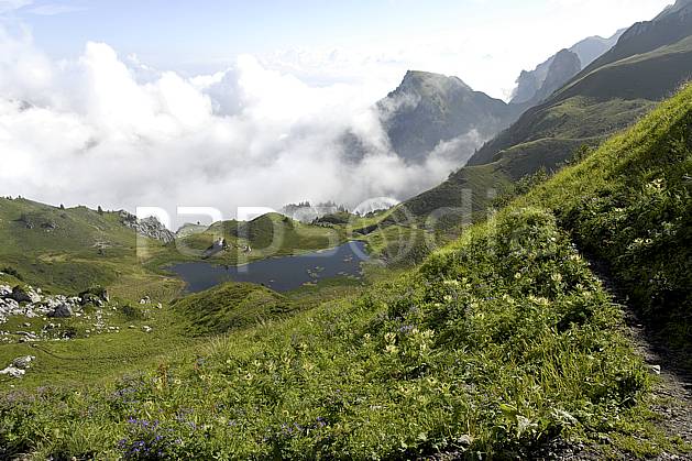 aa063003GE col de bise et lac de neuteu, chablais, haute-savoie, Europe, EEC, pond, Annecy 2018, flora, lake, middle mountain, cloud, landscape (France).