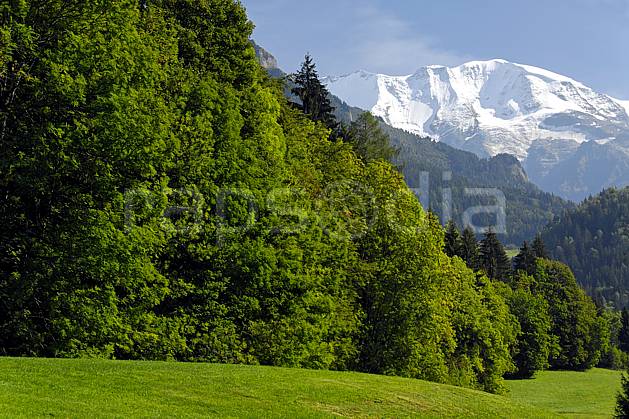 aa063373LE : Dômes de Miage depuis Saint Gervais les Bains, Haute-Savoie, Alpes. Europe, CEE, C02, C01 arbre, forêt, moyenne montagne, paysage, Annecy 2018 (France).
