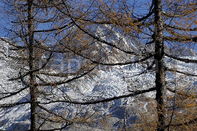 aa063629LE : Aiguille des Grands Montets, glacier de Lognan, Massif du Mont Blanc, Haute-Savoie, Alpes. Europe, CEE, C02, C01, épicéa arbre, moyenne montagne, paysage, Annecy 2018 (France).