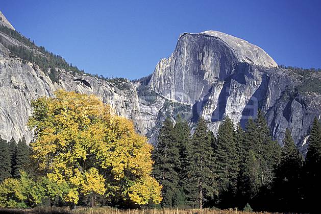 aa0671-17LE : Yosemite Valley, Half Dome. Amérique du nord, ciel bleu, falaise, C02, C01 arbre, forêt, moyenne montagne, paysage (Usa).