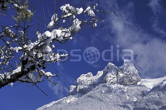 aa0696-01LE : Les Dents de Lanfon, Haute-Savoie, Alpes. Europe, CEE, ciel bleu, C02, C01, branche, poudreuse arbre, forêt, moyenne montagne, paysage, Annecy 2018 (France).
