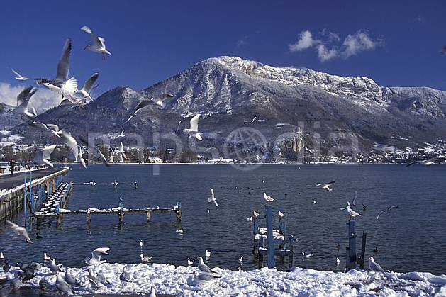 aa0696-20LE : Mont Veyrier depuis le Paquier Annecy, Haute-Savoie, Alpes. Europe, CEE, oiseau, mouette, C02, C01 faune, lac, moyenne montagne, paysage, Annecy 2018 (France).