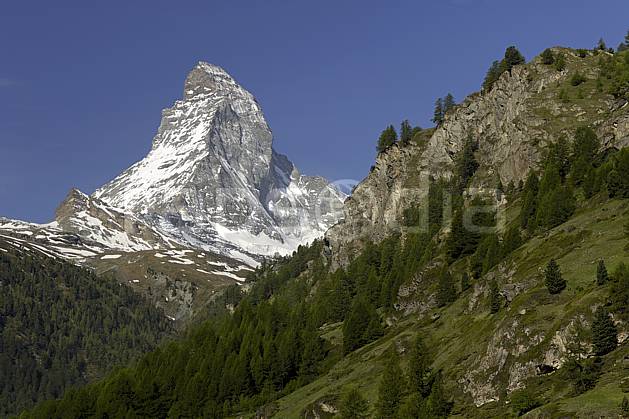 aa070355LE : Le Cervin vu depuis Zermatt, Alpes. Europe, falaise, C02 forêt, moyenne montagne, paysage (Suisse).