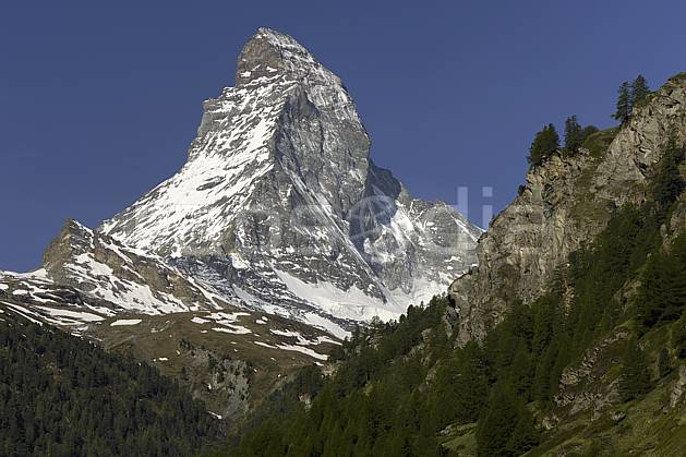 aa070356LE : Le Cervin vu depuis Zermatt, Alpes. Europe, falaise, C02 forêt, moyenne montagne, paysage (Suisse).