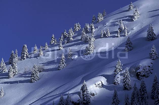 aa0708-03LE : Bellacha, Haute-Savoie, Alpes. Europe, CEE, ciel bleu, sapin, C02, C01, poudreuse arbre, moyenne montagne, paysage, Annecy 2018 (France).