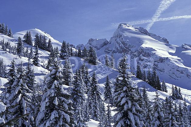 aa0719-32LE : Mont Charvet, Aravis, Haute-Savoie, Alpes. Europe, CEE, poudreuse, sapin, C02, C01 arbre, moyenne montagne, paysage, Annecy 2018 (France).