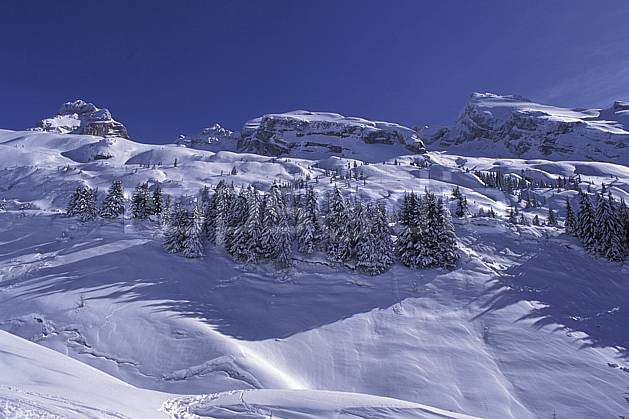 aa0720-01LE : Aravis, Haute-Savoie, Alpes. Europe, CEE, ciel bleu, sapin, C02, C01 arbre, moyenne montagne, paysage, Annecy 2018 (France).