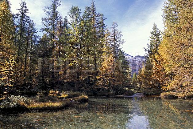 aa0844-32LE : Etang, Le Monal , Savoie, Alpes. Europe, CEE, mélèze, C02, C01 arbre, moyenne montagne, paysage, rivière (France).