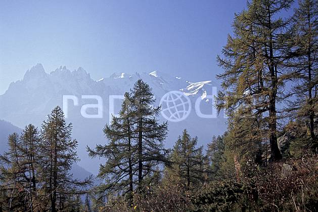 aa0860-33LE : Aiguilles de Chamonix, Haute-Savoie, Alpes. Europe, CEE, sapin, C02, C01 arbre, moyenne montagne, paysage, Annecy 2018 (France).