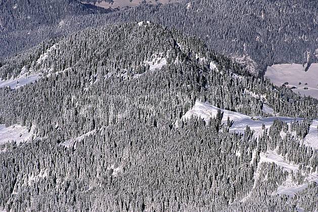 aa0886-21LE : Tête du Danay, Haute-Savoie, Alpes. Europe, CEE, sapin, vue aérienne, C02, C01 arbre, forêt, moyenne montagne, paysage, textures et fonds, Annecy 2018 (France).