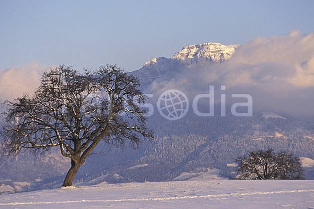 aa1078-23LE : Parmelan, Haute-Savoie, Alpes. Europe, CEE, champ, C02, C01 arbre, moyenne montagne, nuage, paysage, Annecy 2018 (France).