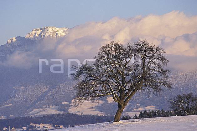 aa1078-25LE : Parmelan, Haute-Savoie, Alpes. Europe, CEE, champ, C02, C01 arbre, moyenne montagne, nuage, paysage, Annecy 2018 (France).