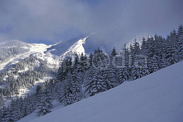 aa1081-07LE : Pointe des Aravis, Haute-Savoie, Alpes. Europe, CEE, ciel nuageux, sapin, C02, C01 arbre, forêt, moyenne montagne, paysage, Annecy 2018 (France).