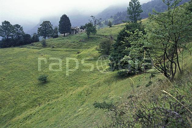 aa1231-47LE : Ambiances du Vercors, Isère, Alpes. Europe, CEE, herbe, sapin, alpage, mauvais temps, C02, C01 arbre, moyenne montagne, paysage (France).