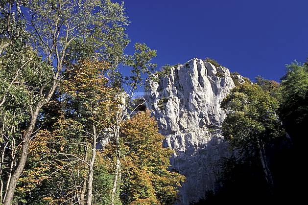 aa1240-35LE : Falaise de Poligny, Jura. Europe, CEE, ciel bleu, falaise, C02, C01 arbre, moyenne montagne, paysage (France).