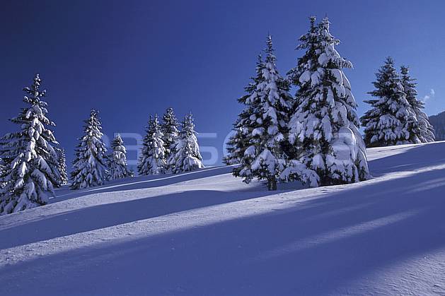 aa2126-13LE : Les Glières, Haute-Savoie, Alpes. Europe, CEE, ciel bleu, sapin, C02, C01 arbre, moyenne montagne, paysage, Annecy 2018 (France).