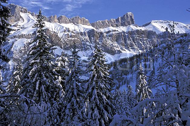 aa2137-16LE : Les Diablerets, Alpes Vaudoises, Alpes. Europe, CEE, ciel bleu, sapin, C02, C01 arbre, forêt, moyenne montagne, paysage (France).