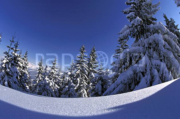 aa2143-07LE : La Clusaz, Haute-Savoie, Alpes. Europe, CEE, ciel bleu, sapin, poudreuse, C02, C01 arbre, moyenne montagne, paysage, Annecy 2018 (France).