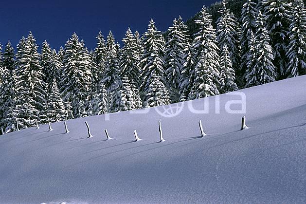 aa2333-30LE : Forêt, Jura, Alpes. Europe, CEE, ciel bleu, sapin, poteau, C02, C01 arbre, forêt, moyenne montagne, paysage (France).