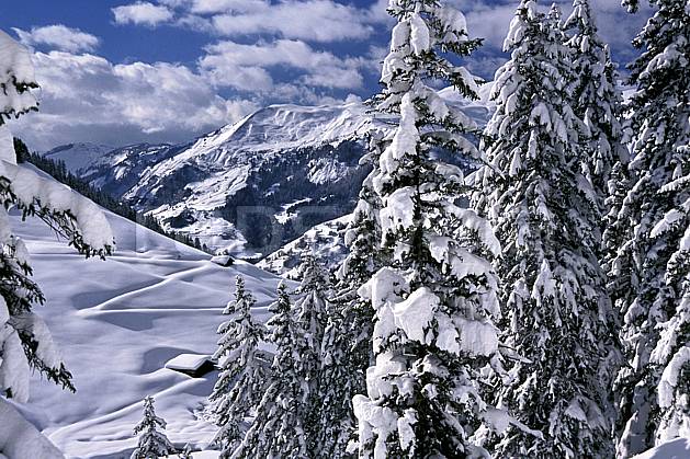 aa2410-22LE : Les Contamines, Haute-Savoie, Alpes. Europe, CEE, ciel nuageux, C02, C01 arbre, moyenne montagne, paysage, Annecy 2018 (France).