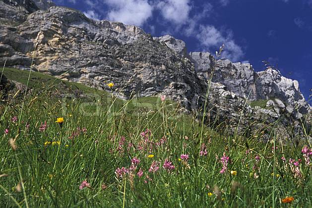 aa2472-13LE : Les Diablerets, Alpes Vaudoises, Alpes. Europe, ciel bleu, fleur, herbe, falaise, C02, C01 moyenne montagne, paysage (Suisse).
