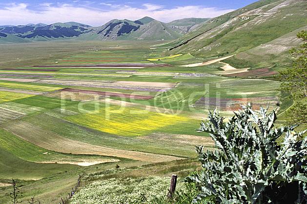 aa2691-22LE : Grande plaine de Castellucio di Norcia. Europe, CEE, champ, fleur, herbe, vallée, C02, C01 moyenne montagne, paysage (Italie).