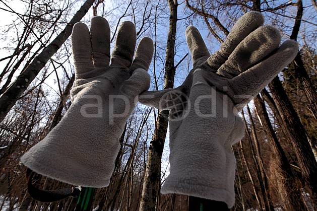 ab050658LE : Gants. Europe, CEE, gant, C02, C01 arbre, forêt, gros plan, personnage (Allemagne).