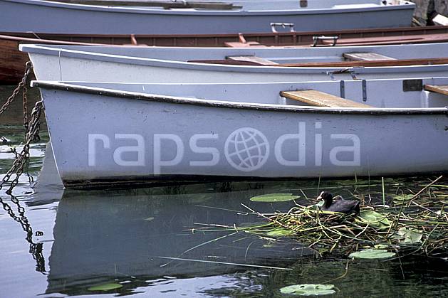 ac0296-10LE : Nid de poule d'eau dans les nénuphars, Lac d'Annecy, Haute-Savoie. Europe, CEE, barque, bateau, canard, nénuphar, C02, C01 environnement, faune, lac, transport, Annecy 2018 (France).