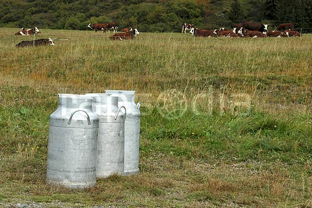 ae042478LE : Boille à lait, Beaufortain, Savoie, Alpes. Europe, CEE, bidon, champ, lait, vache, troupeau, C02, C01 environnement, faune, moyenne montagne (France).