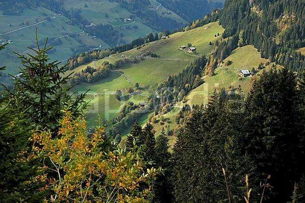 ae042655LE : Beaufortain, Savoie, Alpes. Europe, CEE, habitation, cabane, vallée, C02, C01 arbre, environnement, forêt, moyenne montagne, paysage (France).