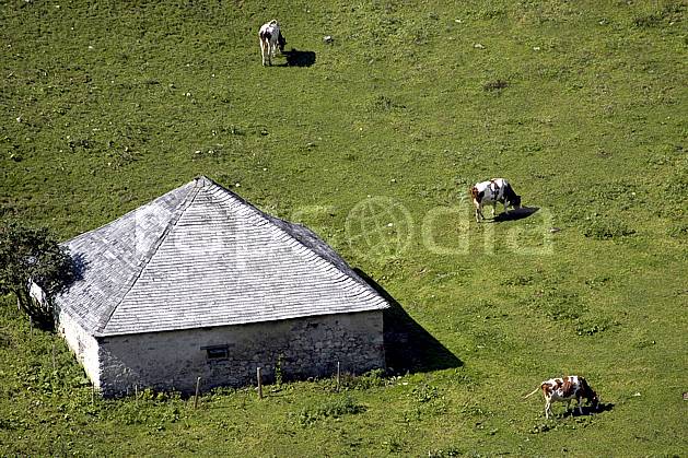 ae055727LE : Ferme d'alpage. Europe, ferme, vache, alpage, vue aérienne, C02, C01 environnement, habitation, moyenne montagne, paysage (Suisse).