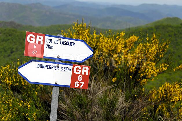 ae062430LE : Panneau de randonnée GR, Massif des Cévennes, Gard. randonnée pédestre Europe, CEE, sport, rando, loisir, action, sport de montagne, signalisation, fleur, genêt, C02, C01 environnement, moyenne montagne (France).