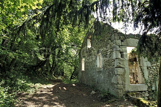 ae2860-26LE : Ruine à Barbennaz, Frangy, Haute-Savoie, Alpes. Europe, CEE, ruine, C02, C01 arbre, environnement, habitation, moyenne montagne, Annecy 2018 (France).